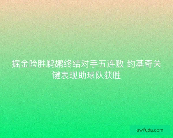 掘金险胜鹈鹕终结对手五连败 约基奇关键表现助球队获胜